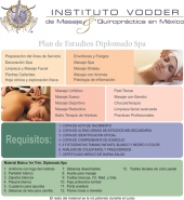 Plan de estudios diplomado Spa - Instituto Vodder - Escuela de Quiropráctica y Masaje