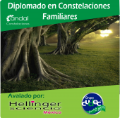 Diplomado en Constelaciones Familiares - Constelaciones Andal
