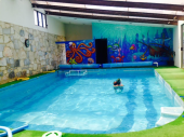 Colegio Villa Zea cuenta con alberca y escuela de natación - Colegio Villa Zea