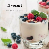 El yogurt se digiere más fácil que la leche  - La Piccolina de Chipilo - productos lácteos