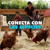 Conecta con los animales - Acuario Michin Puebla