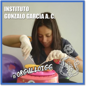  - Instituto Gonzalo García A.C