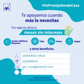  - Asesor de Seguros - José Gerardo Cruz