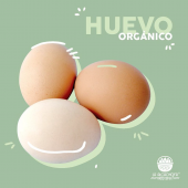 Tenemos huevo orgánico. - La Alcachofa - Productos Saludables