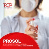  - Productos Químicos Industriales de Puebla