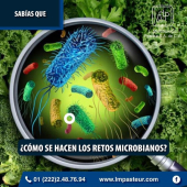 Para realizar un reto microbiano adecuadamente se pone en contacto el desinfectante o germicida a probar, con cepas puras en una concentración in vitro de 100,000,000, normatividad nos pide que se realicen con dos microorganismos, cada uno representando G - Laboratorio de Microbiología Pasteur - Laboratorio de Análisis de Alimentos