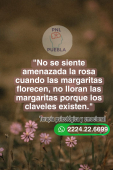  - PNL Puebla