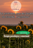  - PNL Puebla