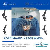  - OrtoFisio Centro de Fisioterapia Ortopédica - Dr. David Rojas Osorio