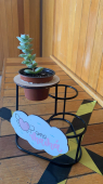  - Cositas Florentina - Arte y Diseño en cada evento