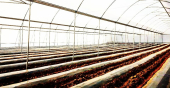  - Rex Irrigación Agroequipos