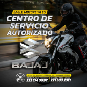  - EAGLE MOTORS