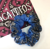  - Paliacatitos