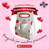  - Indisur