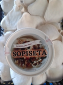  - Sopisetas