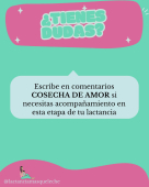  - Lactancia más que leche
