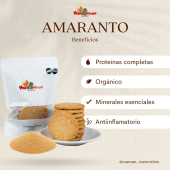  - Cannan Meteoritos