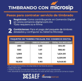  - SAEF Soluciones Administrativas