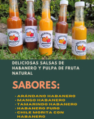  - Sabhabanero