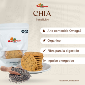  - Cannan Meteoritos