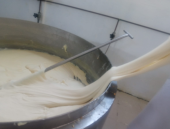  - Productos Lácteos San Vicente Tancuayalab