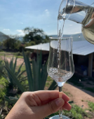  - Casa Mezcalera Lezama