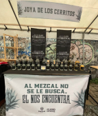  - Casa Mezcalera Lezama