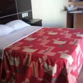  - Auto Hotel Flamingos San Miguel