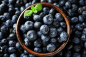  - SOCIEDAD PRODUCTORA DE BERRY DE CALIDAD DE LA SIERRA