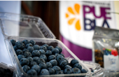  - SOCIEDAD PRODUCTORA DE BERRY DE CALIDAD DE LA SIERRA