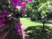  - El Portal de Santo Domingo