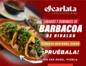  - Café Escarlata