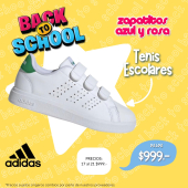  - Zapatitos Azul y Rosa
