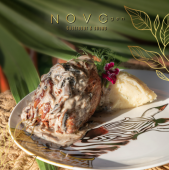  - NOVORIGEN