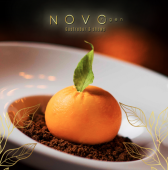  - NOVORIGEN
