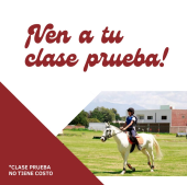  - Club Ecuestre San Andrés