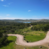 Nuestros espacios están dedicados y diseñados para recrear los hábitats naturales de las especies. - Africam Safari