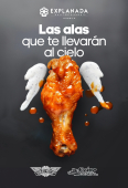  - Explanada Puebla