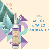  - Vinos y Licores Magadán Quima