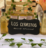  - Casa Mezcalera Lezama