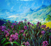  - Café Finca Temimil