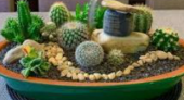  - Punta Viva - Decoración con Cactus