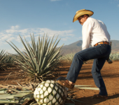  - Mixcalatsin Mezcal Artesanal