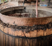  - Mixcalatsin Mezcal Artesanal