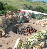  - Mixcalatsin Mezcal Artesanal