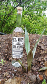  - El Rey del Cerro - Mezcal