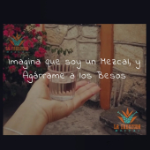  - LA TRENZUDA