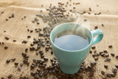  - Nattucaff