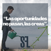  - SF&L - Soluciones Fiscales & Legales