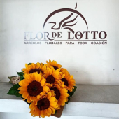  - Florería Flor de Lotto